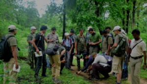 van vibhag bharti apply online