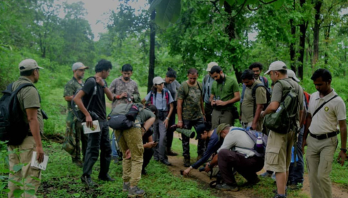 van vibhag bharti apply online