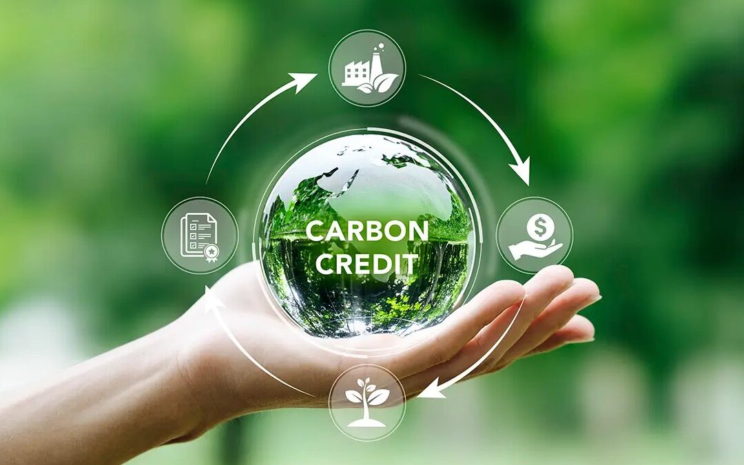 carbon credit feasibility study